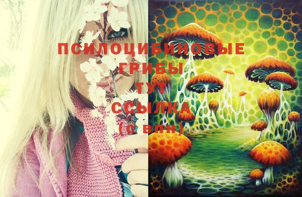 MDMA Пролетарск