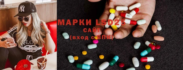 PSILOCYBIN Приозерск