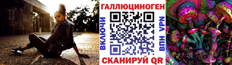 магазин  наркотиков  Макаров  Галлюциногенные грибы Psilocybine cubensis 